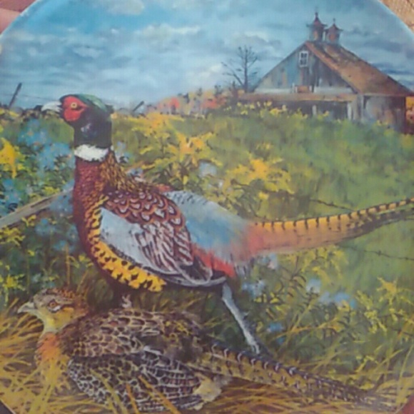 Collectors plate - Picture 2 of 3